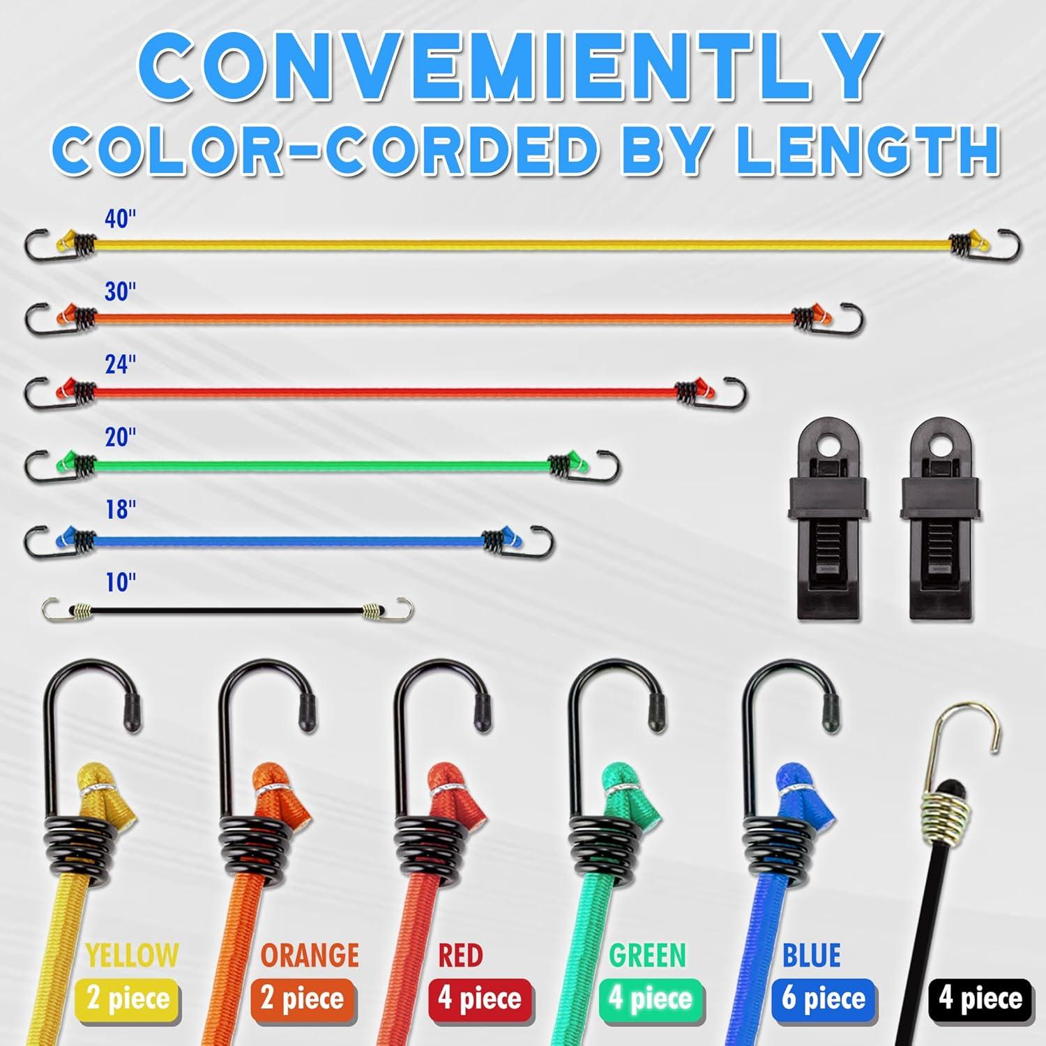 imageCARTMAN 30pcs Heavy Duty Bungee Cords with Hooks  Assortment in Jar Including Tarp Clips Canopy Ties ampamp Ball Bungees for Secure Outdoor and Indoor Use24PCS