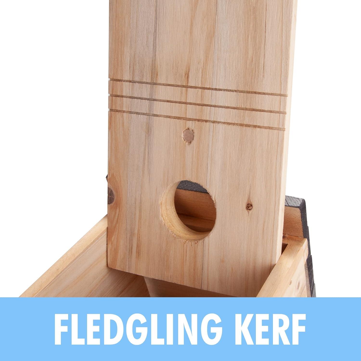 imageCARTMAN Hanging Colourful Birdhouse Bird Feeder Wooden Humming Bird Nest Garden Country Cottages Bird House Decorative Bird Feeder Gift for Hummingbirds Cardinal Bluebird and Wild BirdsMailbox 2pk