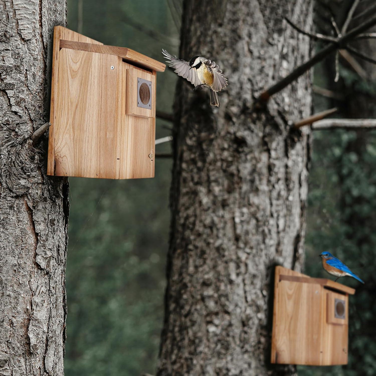 imageCARTMAN Hanging Colourful Birdhouse Bird Feeder Wooden Humming Bird Nest Garden Country Cottages Bird House Decorative Bird Feeder Gift for Hummingbirds Cardinal Bluebird and Wild BirdsSolid Wood 2pk