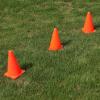 imageCARTMAN Plastic Training Cones Set of 1224 Pack 9quot or 1224 Pack 7quot or 1224 Pack Disc Cone Agility Soccer Cones Indoor Outdoor and Festive Events Field Marker Agility Cones9 12pk